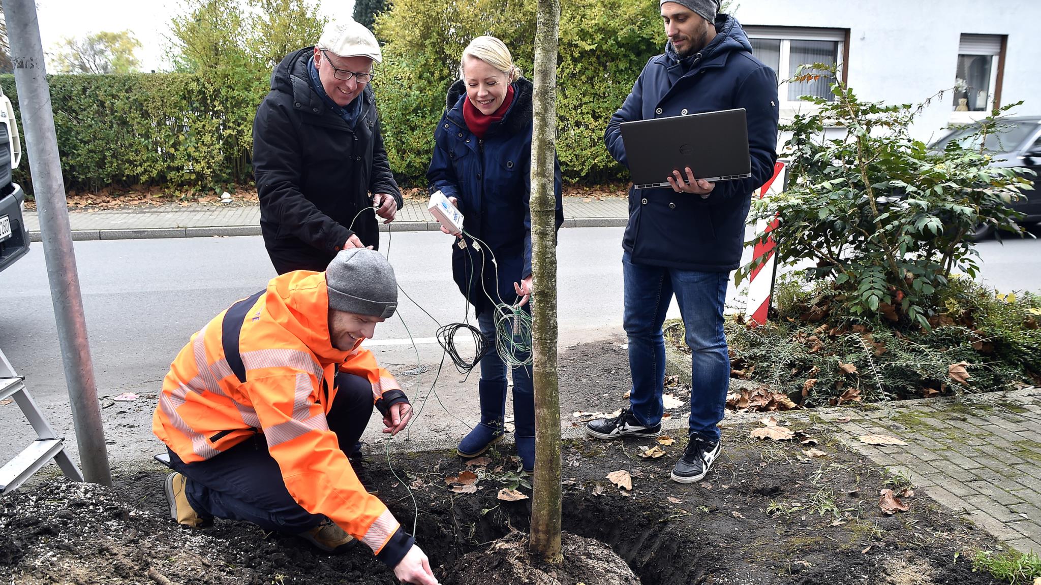 Vier Menschen stehen um einen Jungbaum herum.