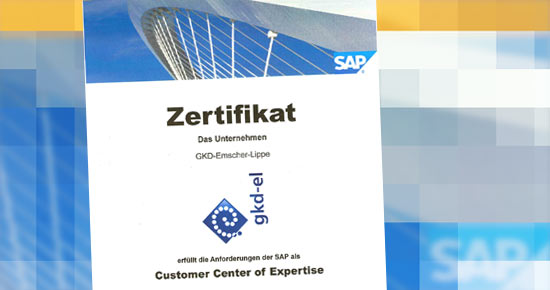 Zertifikat CCoE der SAP
